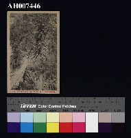 藏品(霧社風景明信片：關門)的圖片